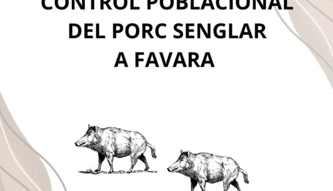 Whatsapp20image202025 10 1620at2013.54.44.jpeg