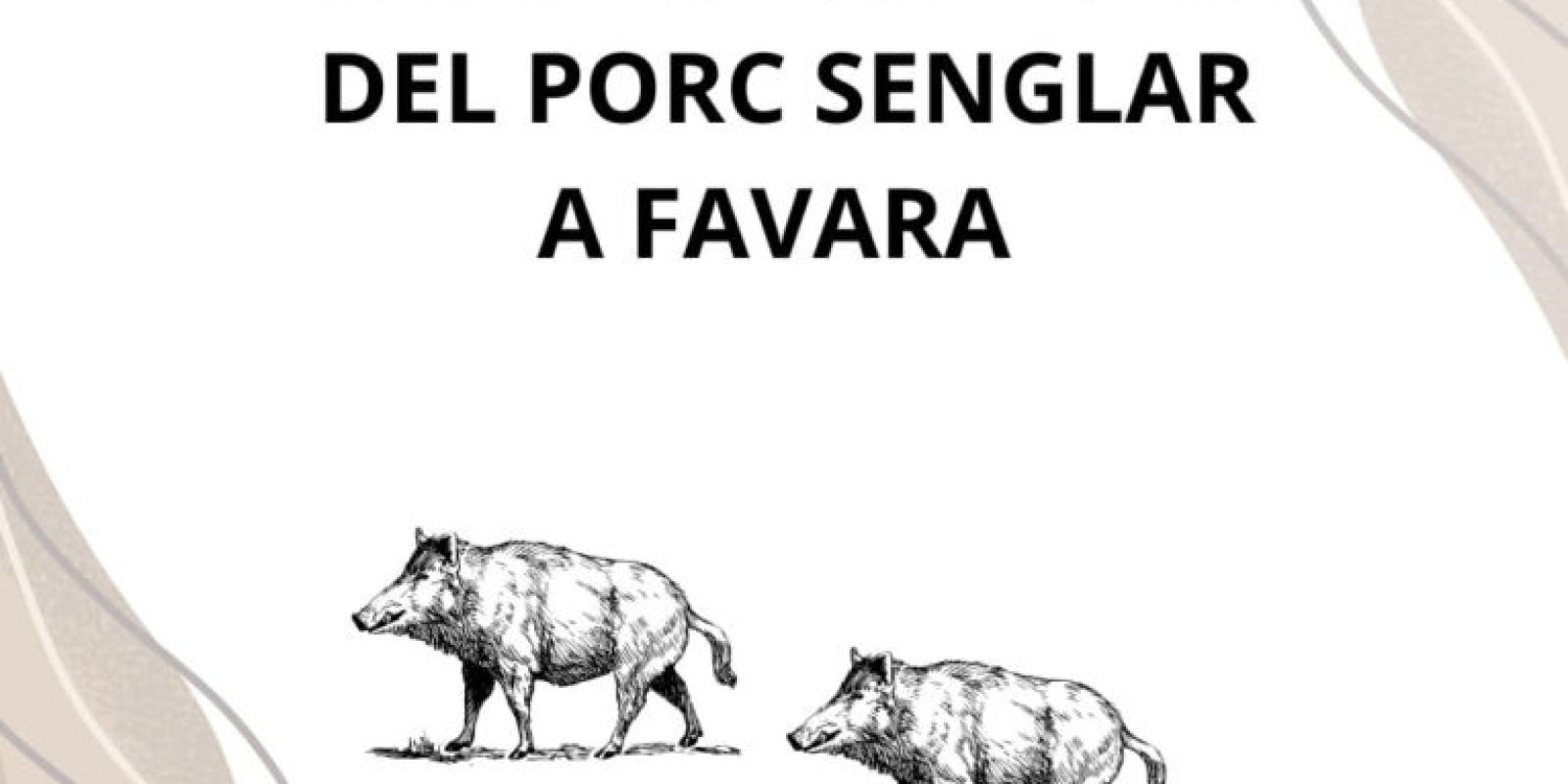 Whatsapp20image202025 10 1620at2013.54.44.jpeg