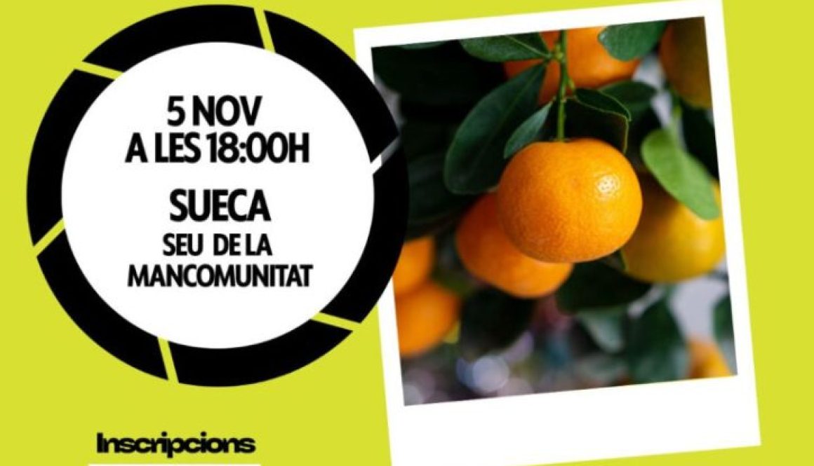 Whatsapp20image202025 10 2920at2017.04.44.jpeg