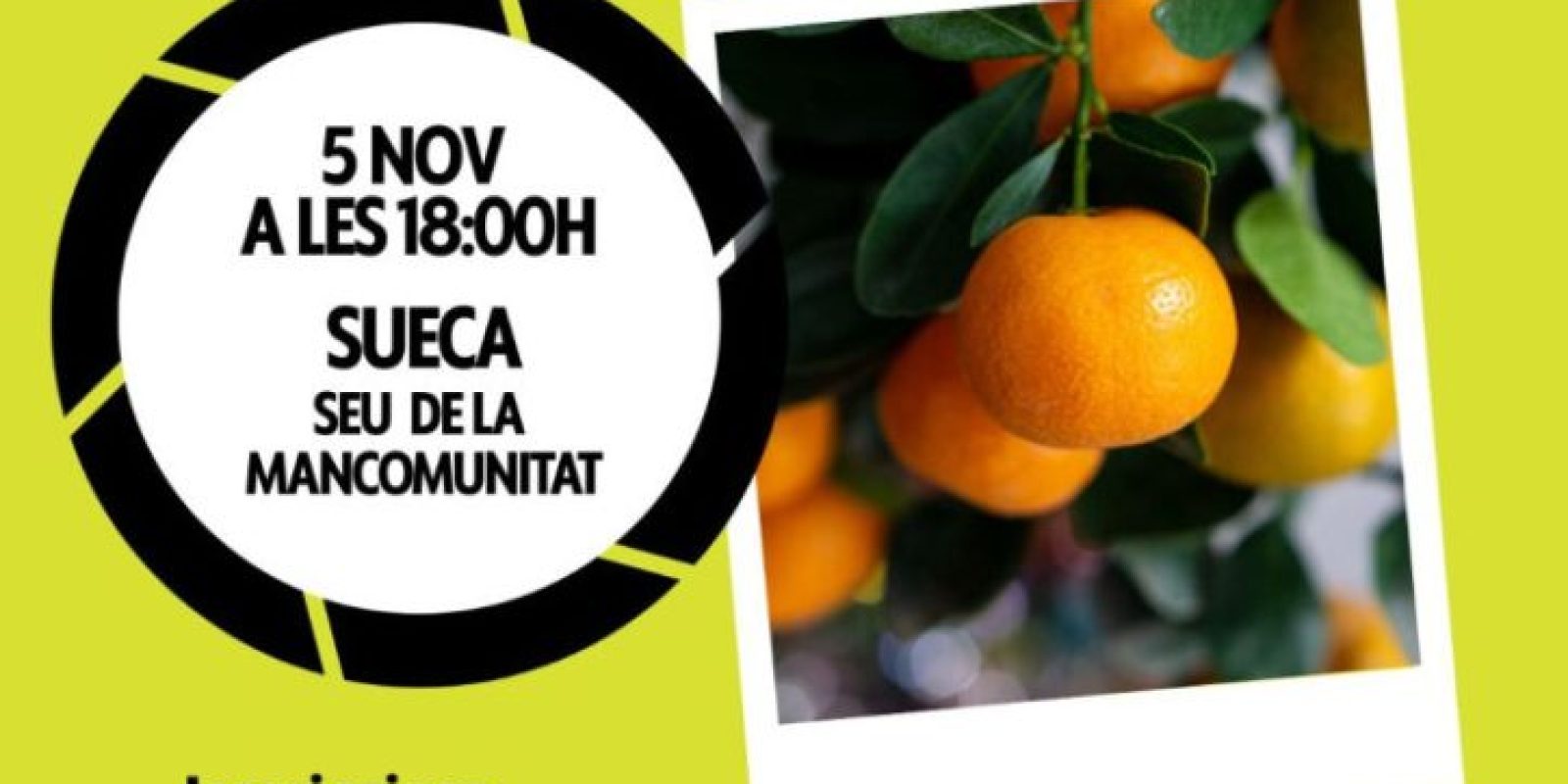 Whatsapp20image202025 10 2920at2017.04.44.jpeg