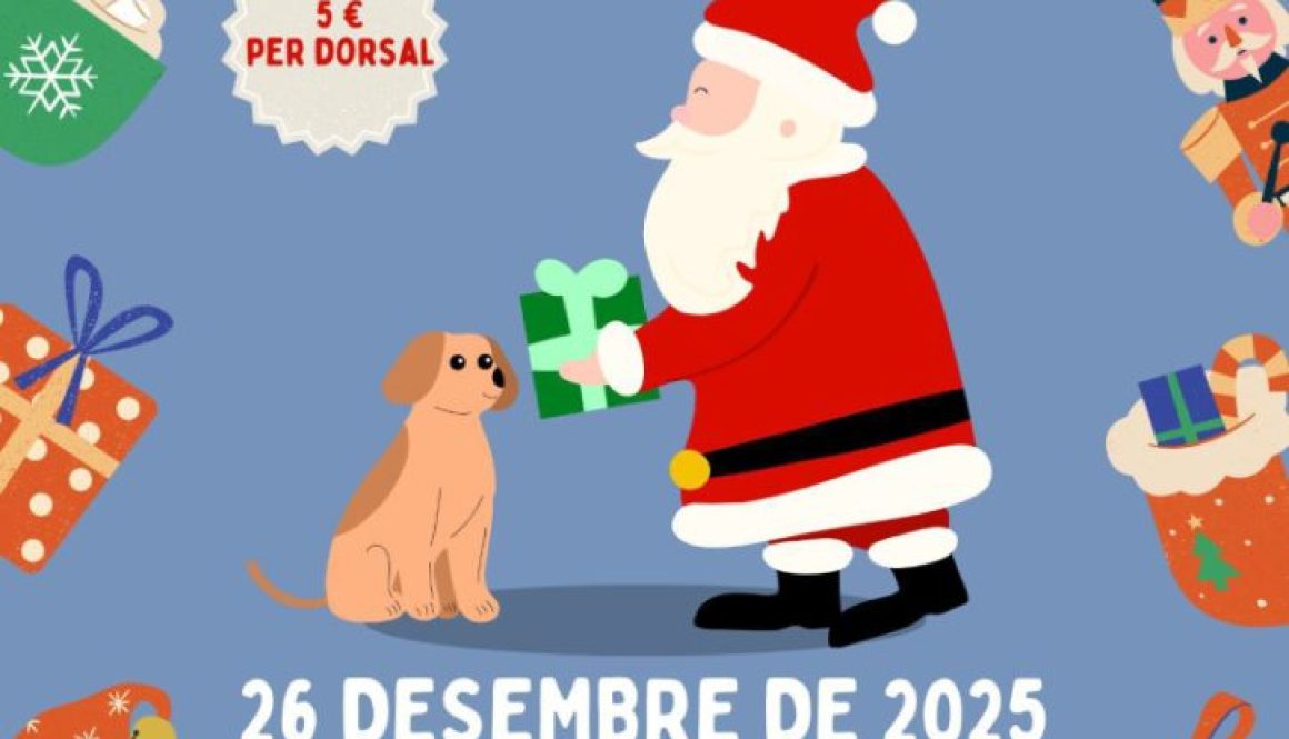 Whatsapp20image202025 12 1820at2009.30.55 2.jpeg 2