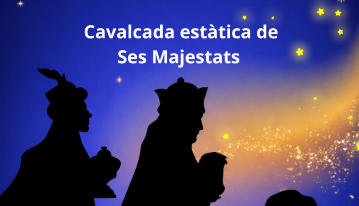 Whatsapp20image202026 01 0220at2018.24.34 12.jpeg 12