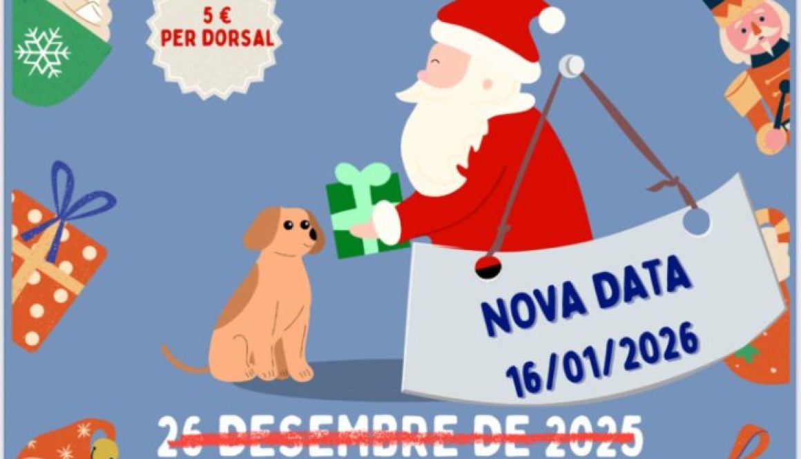 Whatsapp20image202026 01 0920at2013.20.19.jpeg